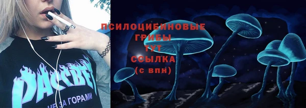 мдма Белокуриха