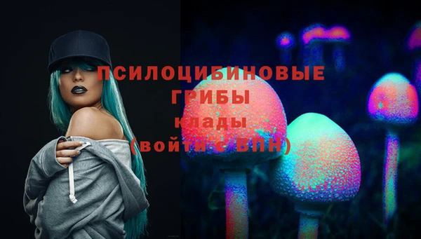 мдма Белокуриха