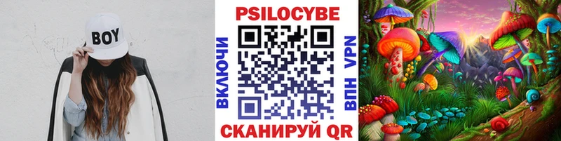 Псилоцибиновые грибы мухоморы  кракен ONION  Кропоткин 